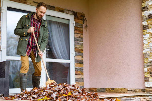 Best Electronics Removal Services  in Victoria, MS